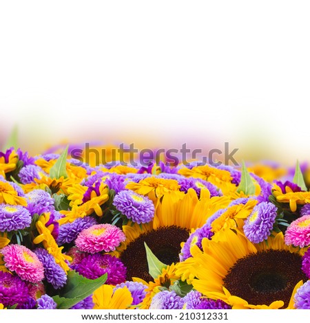 mixed fresh autumn flowers border  isolated on white background