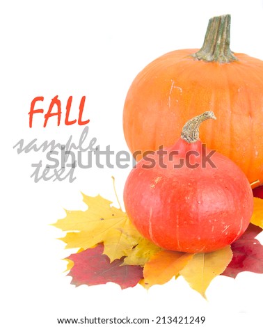 two raw  pumpkins and fall leaves close up  isolated on white background