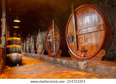 cellar with traditional  aged  wooden port wine barrels, big and small