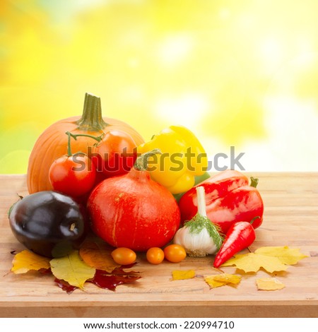 fall ripe of colorful vegetables  on table in yellow garden