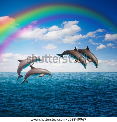 pack of  of jumping dolphins,beautiful seascape with rainbow with deep  ocean  waters and cloudscape