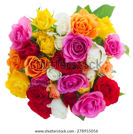 pink, yellow, orange, red, and white fresh roses isolated on white background, top view