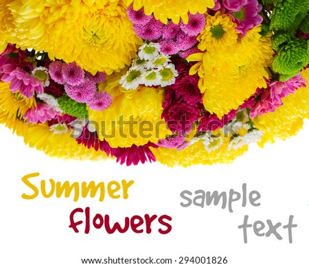 Yellow, red and pink  mum flowers border isolated on white background