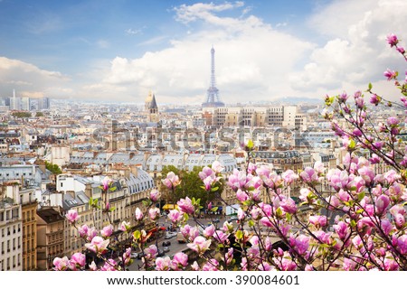 skyline of Paris city roofs with Eiffel Tower  with blooming magnolia spring tree, France