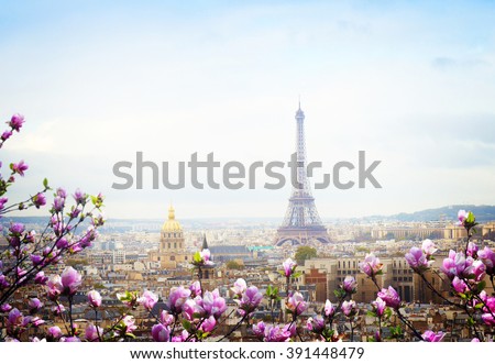 skyline of Paris city roofs with Eiffel Tower at spring day with tree bloom, Paris, France, retro toned