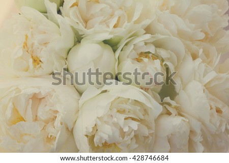 Bouquet of fresh white peony flowers bakcground, retro toned