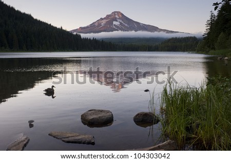 A morning at Trillium Lake near Mount Hood smooth lake reflection Oregon landscape