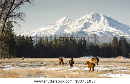 Horses graze near base of Three Sisters Oregon State mountain landscape