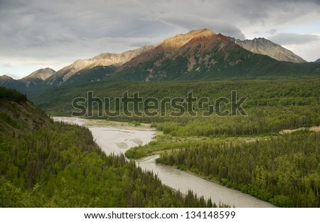 The Matanuska River cuts Through Woods at Chugach Mountains Base in Alaska