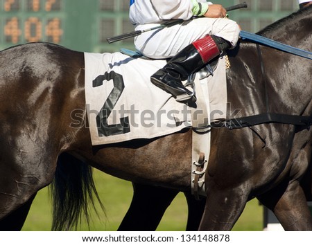 A Jockey Leads the Number Two Horse to Start Gate at Horse Race