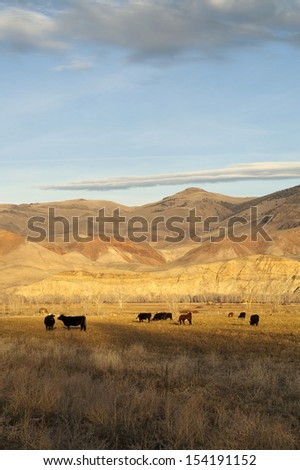 Ranch Landscape livestock grazing near western mountain range