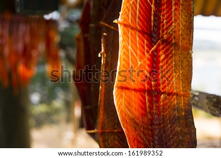 Salmon Fish Meat is cut and hanged to dry outdoors in the Native American lodge