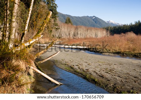 Winter Along  Mountain Stream Hoh River Banks Olympic Mountains