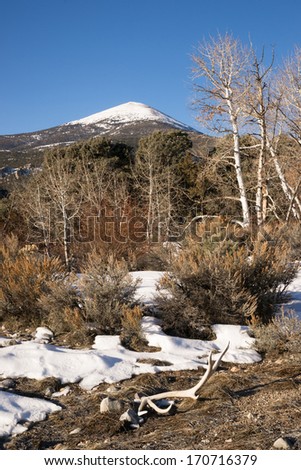 High Mountain Peak Great Basin Region Nevada Landscape Elk Antlers