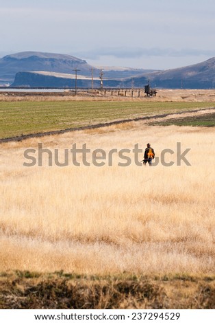 Lone Hunter Bird Dog Hunting Fowl Birds Tule Lake