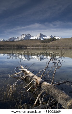 Redfish Lake Vertical Composition Log in Water Sawtooth Mountain Range Idaho