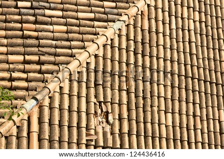 Background or texture symmetric with Ridge on the roof