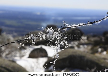 wire detail with ice on the mountain