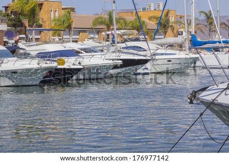 small sailboats moored in a marina