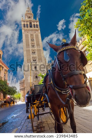SEVILLA, Spain 6 SEP 2014: Carriage with horse next to the famous Giralda in  6 September Seville, Spain