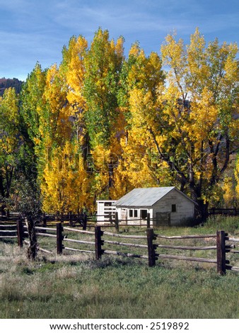 Colorado rustic cabin