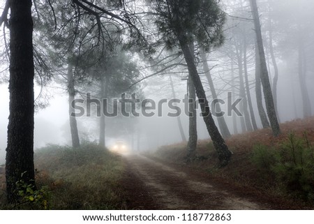 vehicle traveling along a forest road in a mountain of Madrid, Spain
