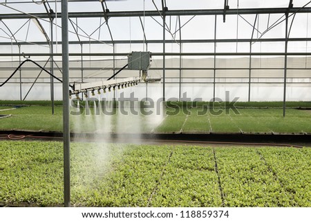 diffusers watering seedlings in a greenhouse in Madrid, Spain