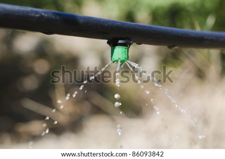 Drip for irrigation of several exits of water