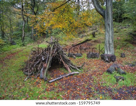 den made from branches in autumn woodland