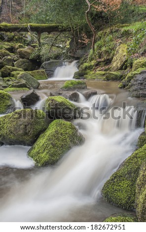 A swollen woodland stream flowing over boulders and weirs as it wends its way over moss covered branches and rocks through a Yorkshire woodland setting along the well walked Pennine bridleway.