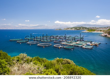 fish farm off of the coast of Corfu in the Ionian sea