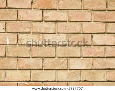 New brick wall texture in strong light