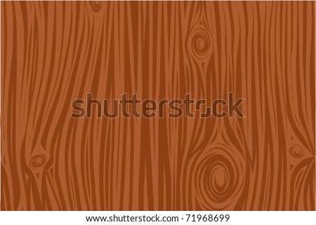 Bark Vector