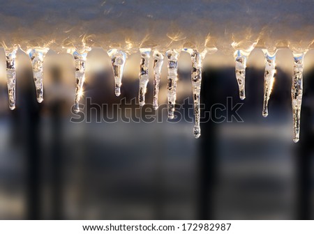 Icicles shining in the sun after an ice storm.