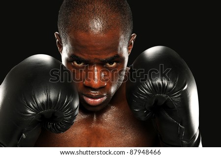 african american boxer