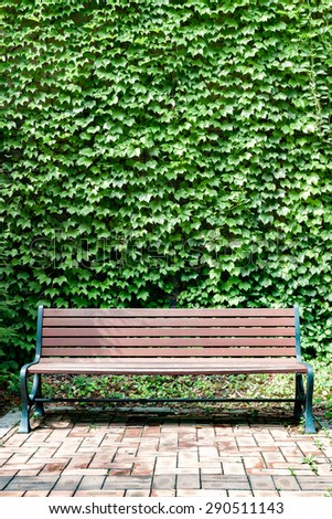 A park bench against a wall of ivy in a portrait orientation.