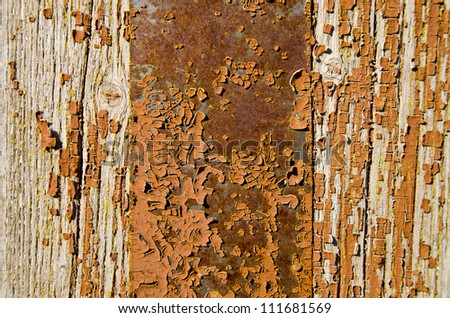 old painted wooden door background and texture