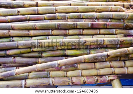 fresh sugarcane in Delhi bazaar, India background