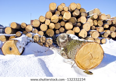 firewood logs stack  on fresh winter snow