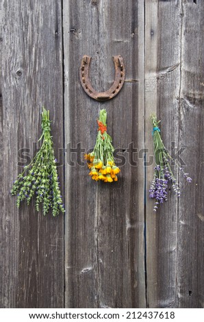 fresh medical herbs lavender, marigold (calendula) and hyssop (Hyssopus officinalis) on old wooden farm barn wall