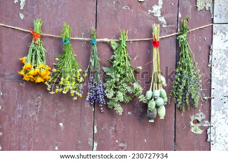 various flowers and medical herb bunch on wooden old grunge farm barn wall