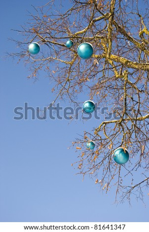 blue lamps on winter tree