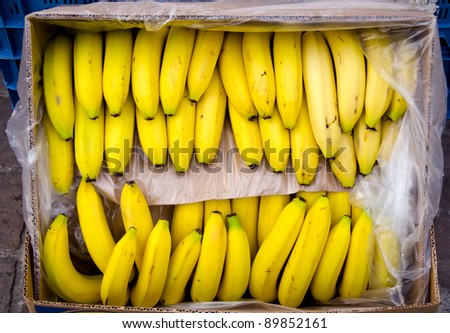 a stem of bananas in the box on street near shop