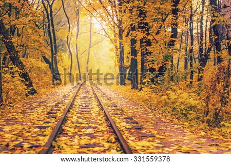 Railway or tramway track in a beautiful autumn park fog. dampness, bright warm autumn colors