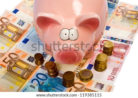 A saving pig is standing on euro paper money