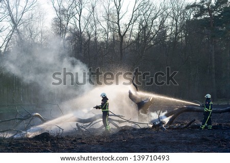 ENSCHEDE, NETHERLANDS-MAR 28:Two firefighters try to extinguish a forest fire. After a period of no rain the forest is extremely dry, and the fire is spreading very easily. March 28, 2012 in Enschede.