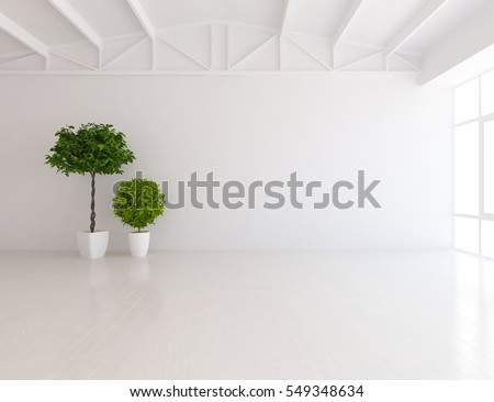 white empty room with a plant. Living room interior. Scandinavian interior design. 3d illustration