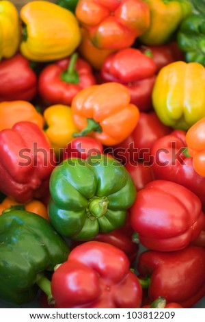 Ripe Yellow, Red, Orange and Green Peppers in Vegetables Market