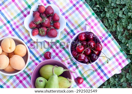 assorted fruits on checkered tablecloth for picnic