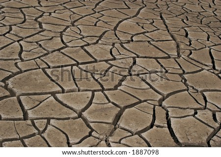 Cracks on the desert